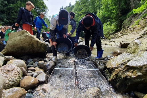 Abenteuer Goldwaschen